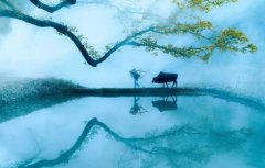 回歸鄉(xiāng)村，方知幸福 【輕鋼別墅】