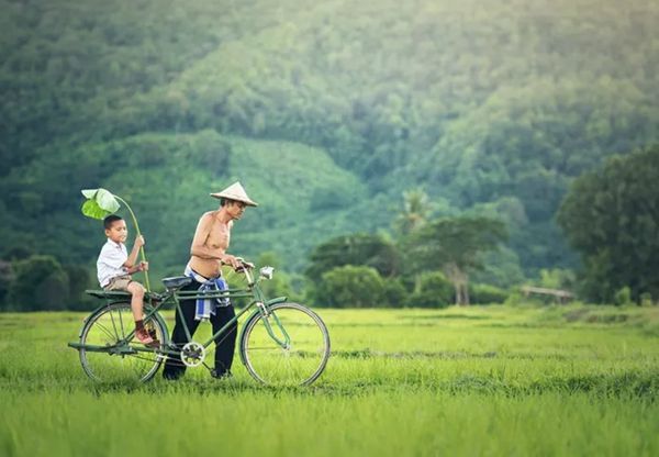 回歸鄉(xiāng)村，方知幸福 【輕鋼別墅】(圖5)
