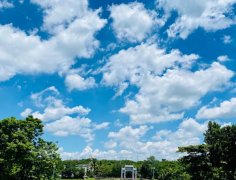 海南：放寬社會資本進(jìn)入農(nóng)村的限制！中國大農(nóng)場時代來臨？