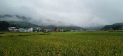 “梅雨季”看輕鋼別墅如何抵御南方的霉雨天？會生銹？不可能！